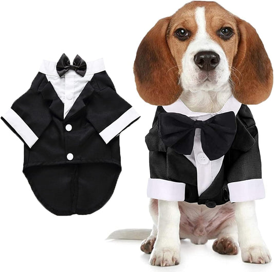 Pet Tuxedo with Bow Tie for Dogs & Cats (Black, Medium)