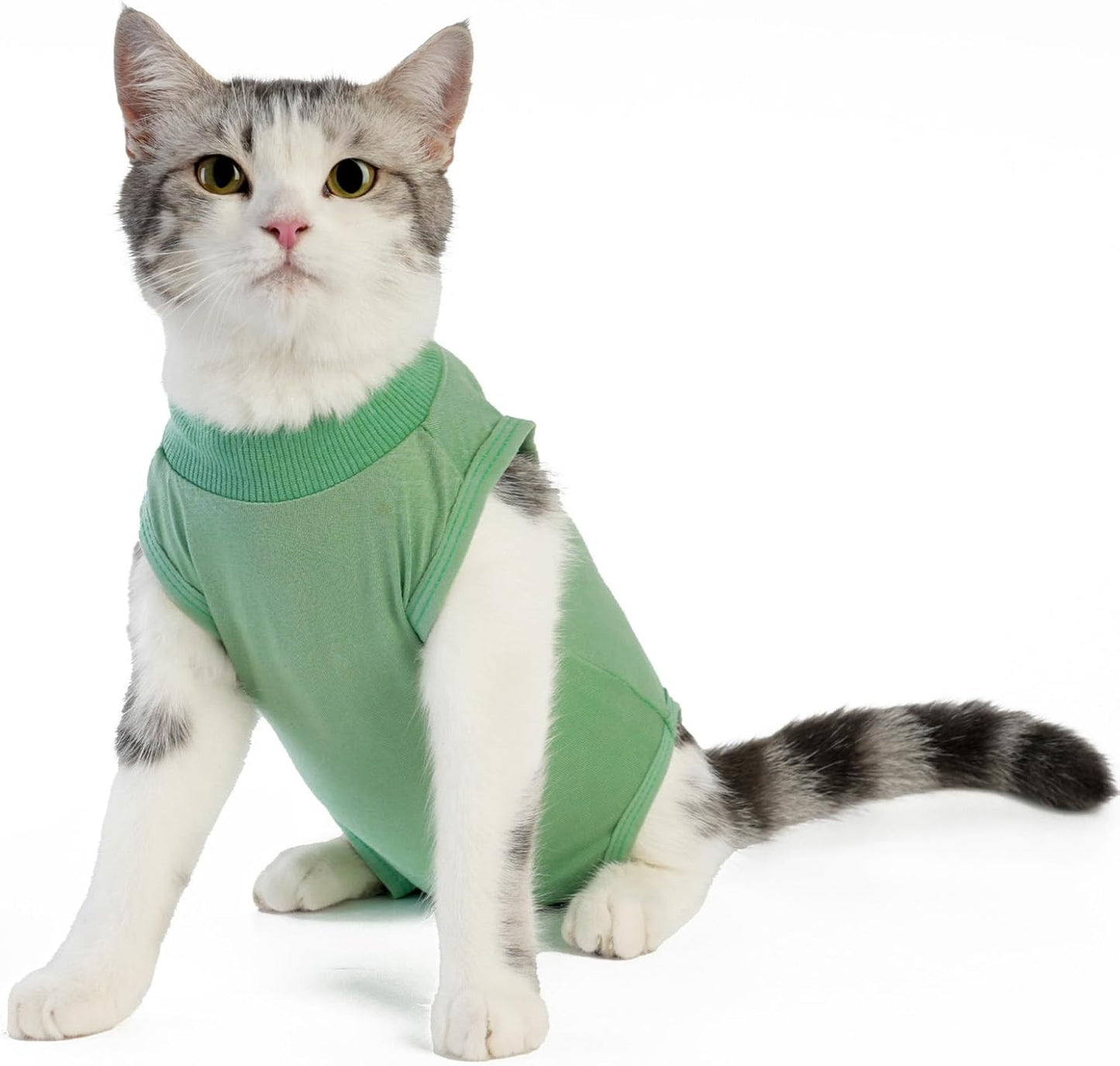 Cat Surgery Recovery Suit, E-Collar Alternative (Green, Medium)