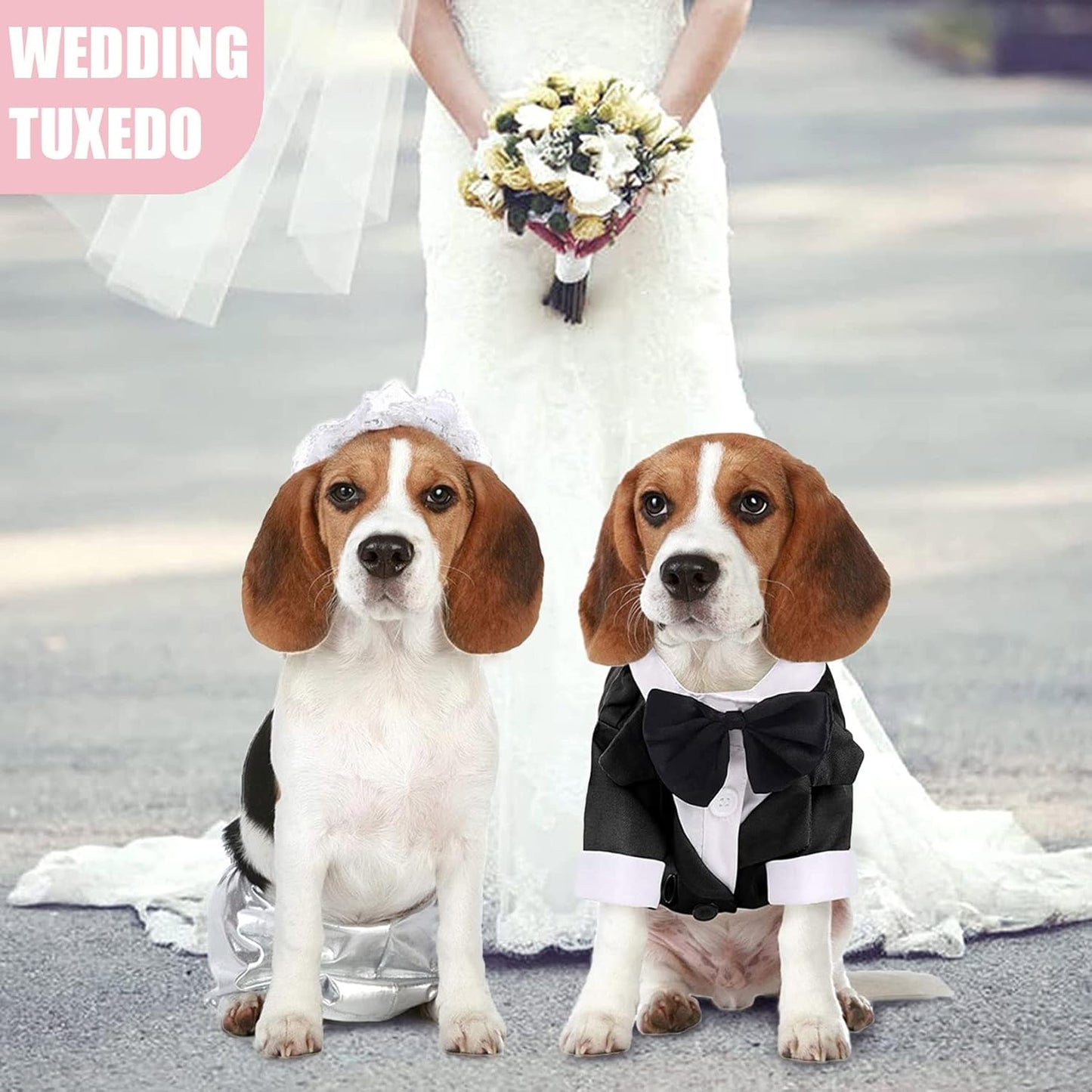 Pet Tuxedo with Bow Tie for Dogs & Cats (Black, Medium)