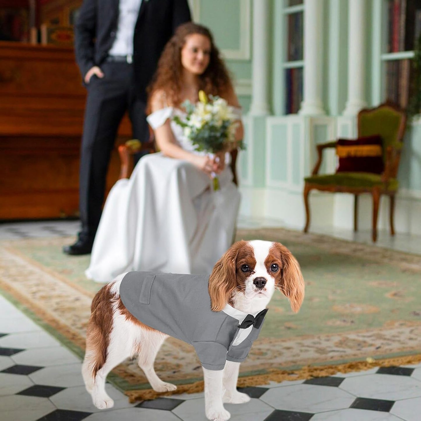 Queenmore Dog Tuxedo with Tie, Formal Wedding Outfit for Dogs & Cats, Grey, M